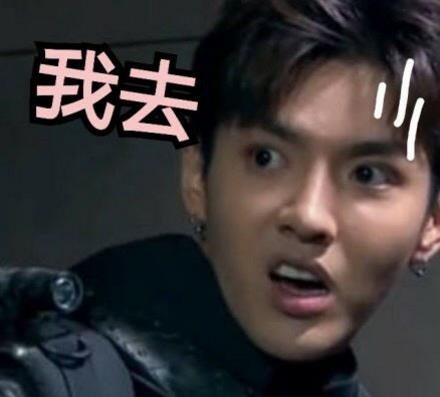 我去 吴亦凡.jpg