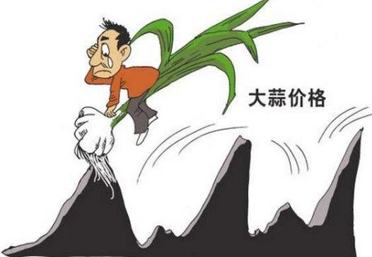蒜你狠是什么意思?网络用语蒜你狠的来源 大蒜涨价原因