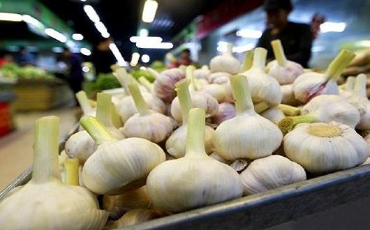 蒜你狠是什么意思?网络用语蒜你狠的来源 大蒜涨价原因