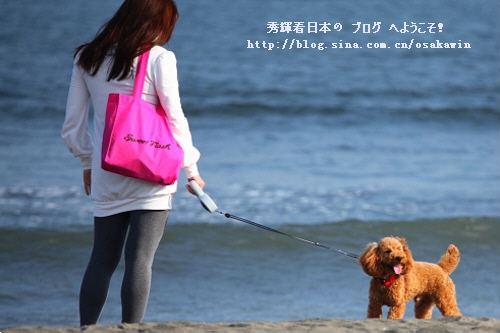 败犬女是什么意思?败犬女的特征性格及想法?典型的败犬女是怎样的