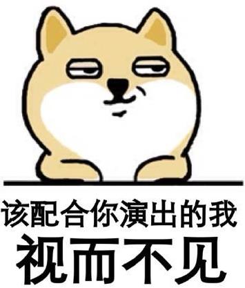 请开始你的表演是什么意思?什么梗?请开始你的表演表情包