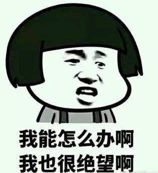 我能怎么办啊我也很绝望啊是什么梗?什么意思?出处及相关示例