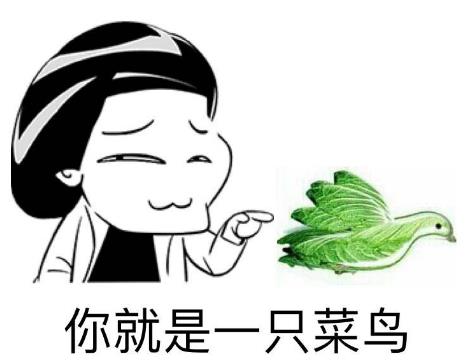 网络中的小白是什么意思?现在网络上小白的8种解释