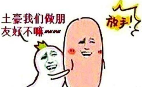 土豪,我们做朋友吧