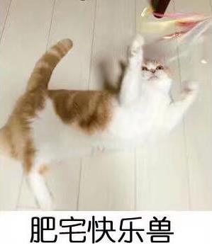 肥宅快乐套餐是什么意思?什么梗?肥宅快乐套餐表情包火遍网络