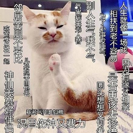 佛系是什么意思什么梗?佛系及衍生词语刷屏 佛系和佛教有关系吗