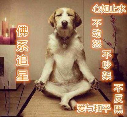 佛系是什么意思什么梗?佛系及衍生词语刷屏 佛系和佛教有关系吗