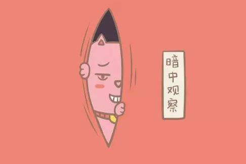 女生说13579是什么意思什么梗?男人说24816是什么意思?有什么污内涵