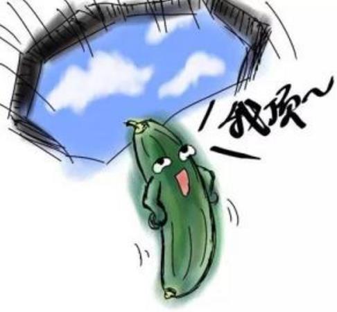 黄瓜茄子有什么污内涵意思?黄瓜茄子和藕的污段子 黄瓜幽默段子