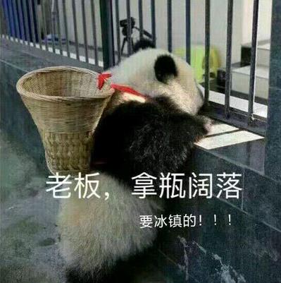 喝冰阔落是什么意思什么梗?冰阔落是哪的话?大哥喝冰阔落表情包走红