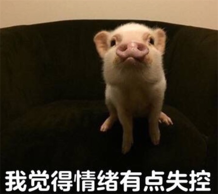 我觉得不行 我觉得ok是什么意思什么梗 我觉得不行 我觉得ok的含义