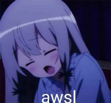 awsl是什么意思什么梗 AWSL是啊我死了的含义
