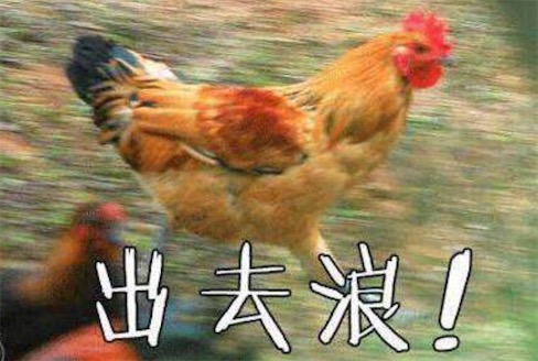 xxj是什么意思什么梗 xxj是小学鸡的拼音首字母缩写