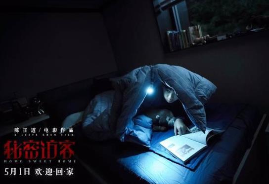 电影秘密访客讲的是什么?电影秘密访客结局真相是什么?