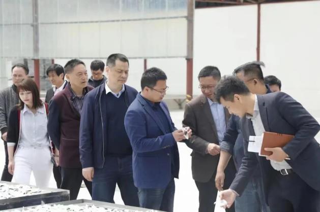 全国人大常委会委员谢广祥一行领导,深入调研冰雪容黄精产业园