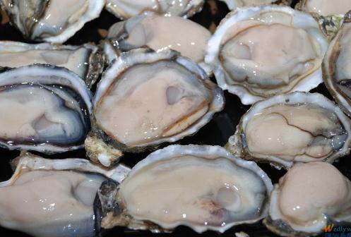 牡蛎如何清洗?牡蛎的清洗方法,食用牡蛎的注意事项