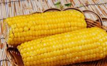 五谷杂粮玉米最强-玉米养颜食谱