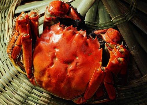 哪些人不能吃大闸蟹?什么人不宜吃大闸蟹