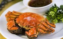 螃蟹不能和什么一起吃？吃螃蟹的饮食禁忌