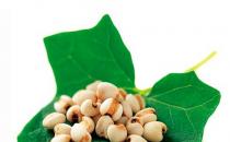 薏米最养人-美白又去皱的薏米食谱