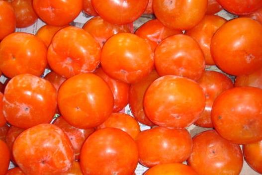 肾结石病人能吃柿子吗?肾结石不能吃什么食物