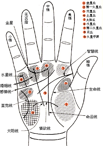 手相婚姻线图解:从手相婚姻线看姻缘