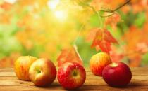女性多吃苹果能预防骨质疏松