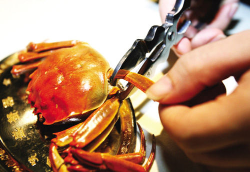 吃螃蟹的工具：用什么工具能轻松吃大闸蟹又不浪费