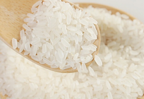 大米生虫的处理方法-预防大米生虫的方法