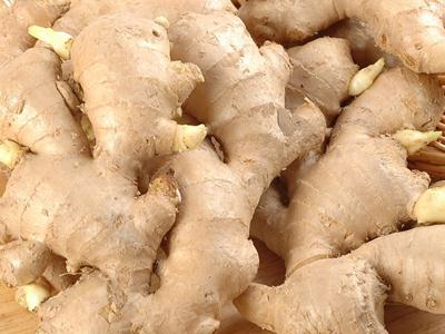 吃生姜的好处与坏处?为什么说冬吃萝卜夏吃姜