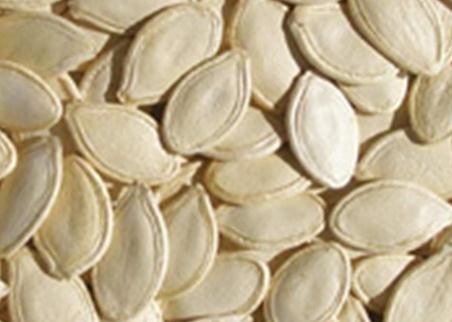 男性食疗养生:常吃12种食物让男人永远精力旺盛——南瓜子