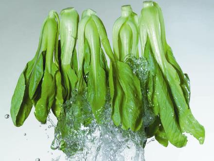 如何选购油菜?油菜的食用禁忌