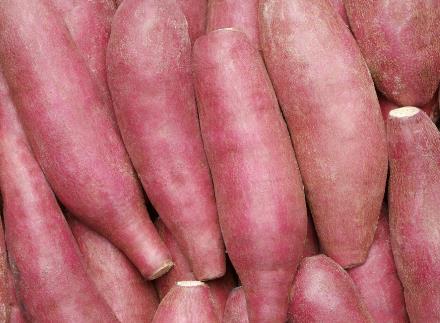 如何挑选红薯?吃红薯的注意事项