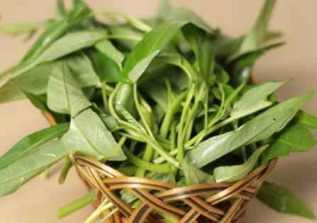 如何挑选空心菜?吃空心菜的食用禁忌