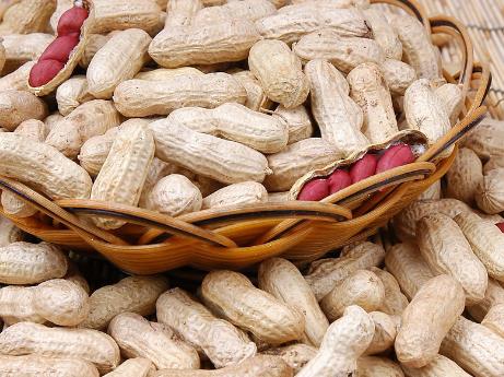 如何挑选花生?吃花生的注意事项