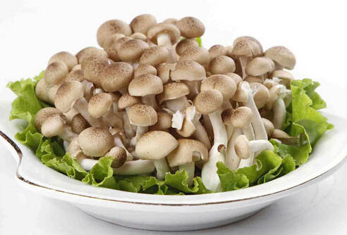 吃蟹味菇要注意什么?蟹味菇的储存方法