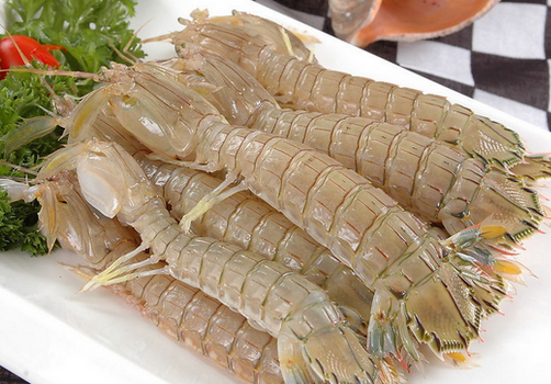 食用皮皮虾的注意事项-皮皮虾的适宜人群