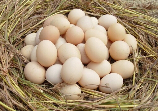 鸡蛋的6种吃法等于白吃