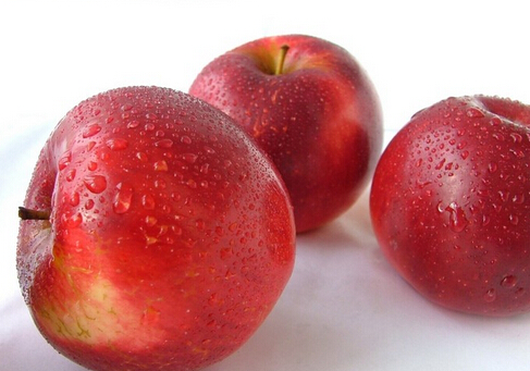 吃苹果时别将果核吃下去-健康吃苹果