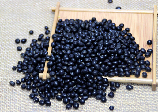 常食黑豆有助怀孕有科学依据吗?