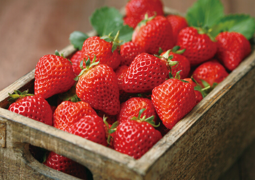 洗草莓之前别摘叶子-正确吃草莓的方法