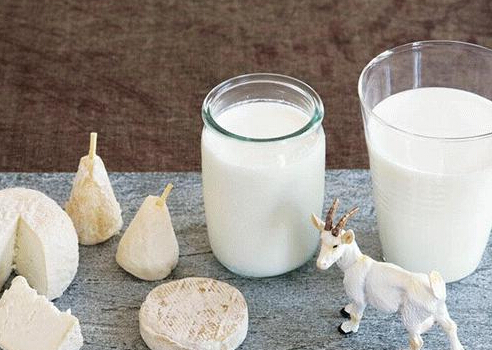 胃肠敏感者喝羊奶好还是牛奶好？羊奶适合什么人喝？