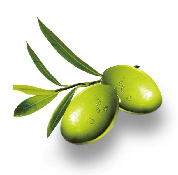 橄榄油的美容作用