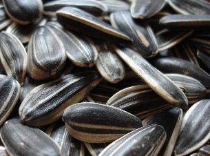 葵花籽(瓜子)的营养价值