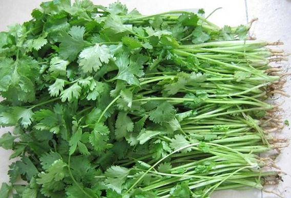 香菜有什么样的营养价值?香菜的营养价值-香菜的功效与作用