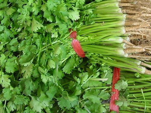 香菜的功效与作用,香菜的副作用,吃香菜杀精还是壮阳,孕妇能吃香菜吗