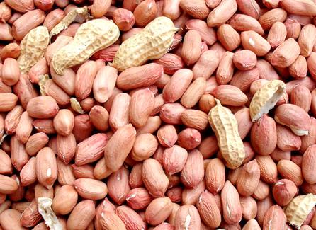 吃花生米有什么好处？花生米的营养价值