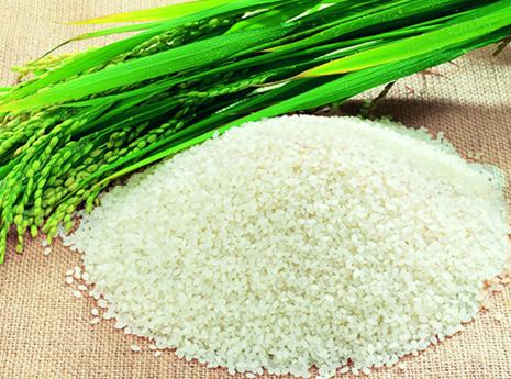 大米的营养价值-大米的功效与作用