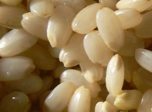 糙米的功效与作用-糙米怎么吃-糙米的营养价值