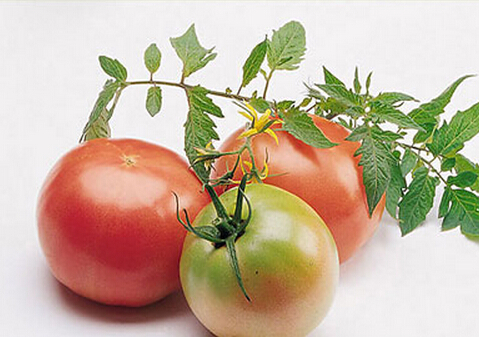 产妇吃什么能催乳?新妈催乳诀窍